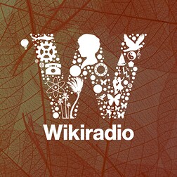 "Wikiradio. Le voci della storia" - Una nuova stagione, una nuova pagina programma - RaiPlay Sound