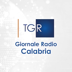 GR Calabria del 29/04/2024 ore 12:10 - RaiPlay Sound