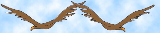 Immagine di due aquile in volo con le ali spiegate. Nel centro le ali dei rispettivi uccelli si incrociano.
