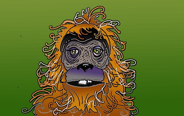 Immagine del muso di una scimmia (Per leggerne la descrizione proseguire nel link). Primo piano di Paki