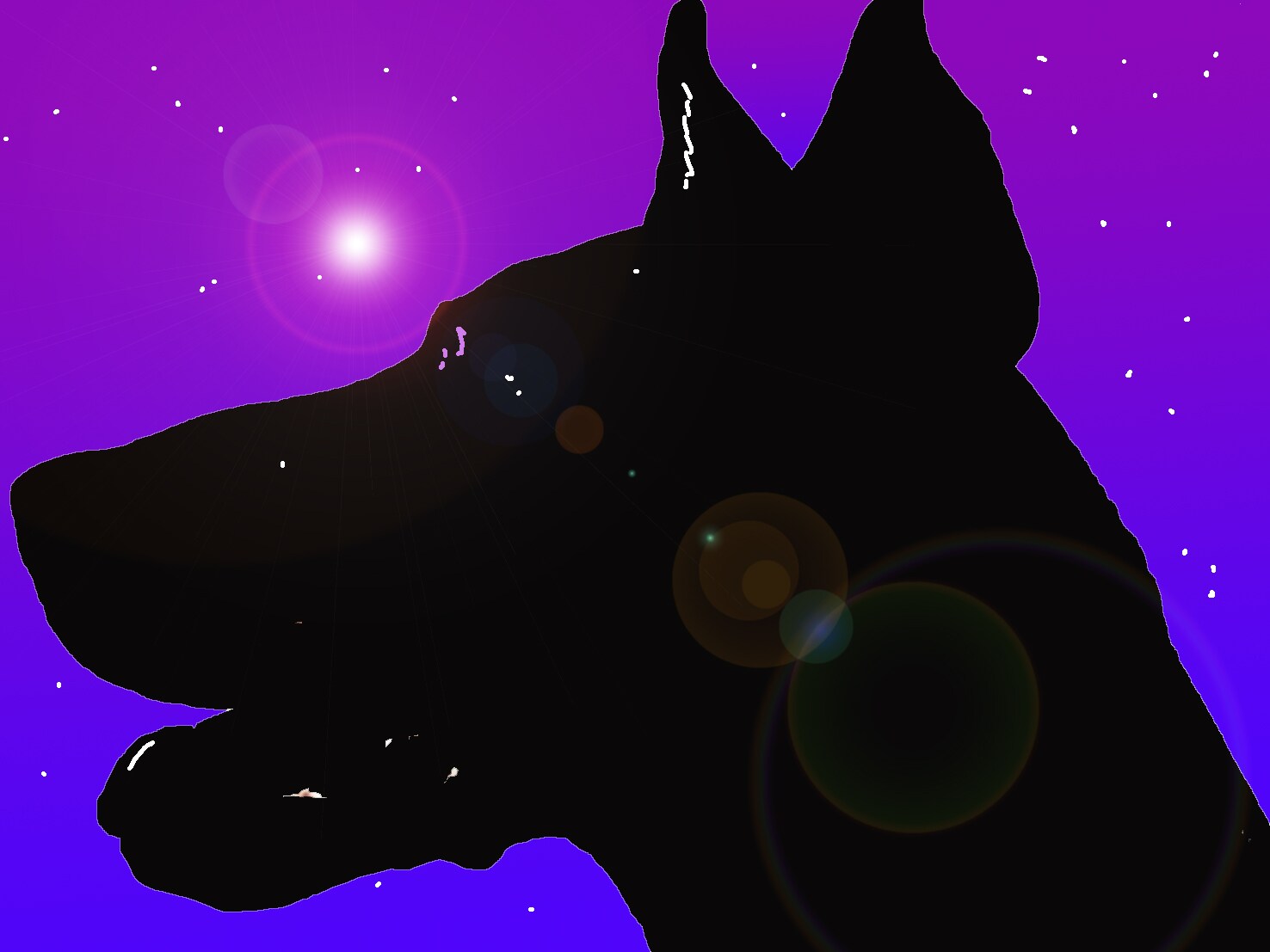 Immagine di un dobermann (Per leggerne la descrizione proseguire nel link). Il profilo della testa del cane nell'oscurità e sullo sfondo una notte stellata.