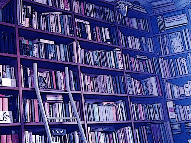 Immagine di scaffali di libri (Per leggerne la descrizione proseguire nel link). Una grande libreria su due lati con una scaletta verticale.