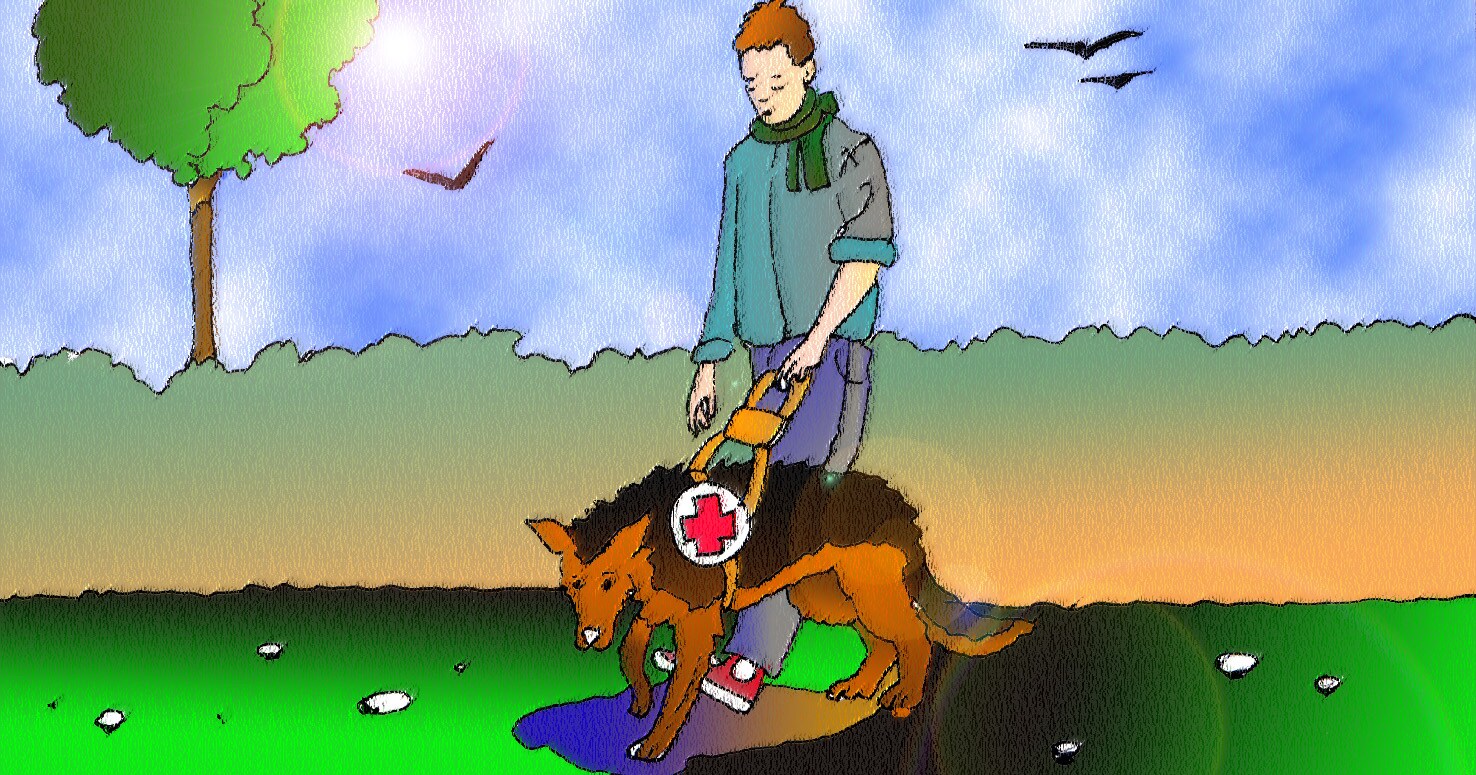 Immagine di un non vedente accompagnato da un cane guida(Per leggerne la descrizione proseguire nel link). Si vede un cane, con lo stemma di una croce rossa sulla pettorina, che guida un non vedente.