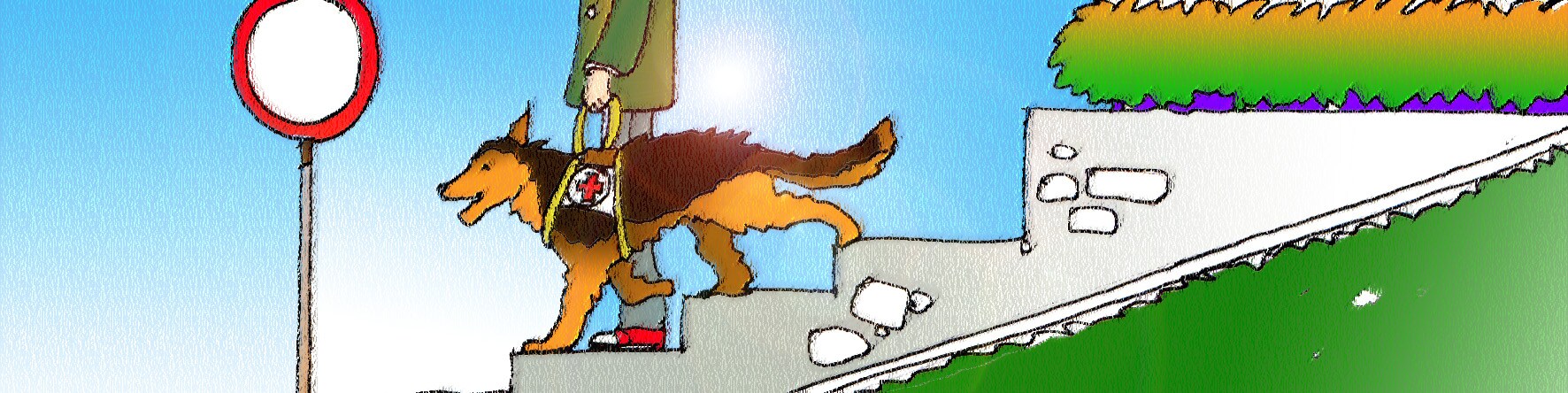 Immagine un cane guida che scende le scale con un non vedente. (Per leggerne la descrizione proseguire nel link). Si vede il cane e la persona accompagnata ripresa dal basso poiché si vedono solo le gambe che scendono i gradini e parte della giacca.