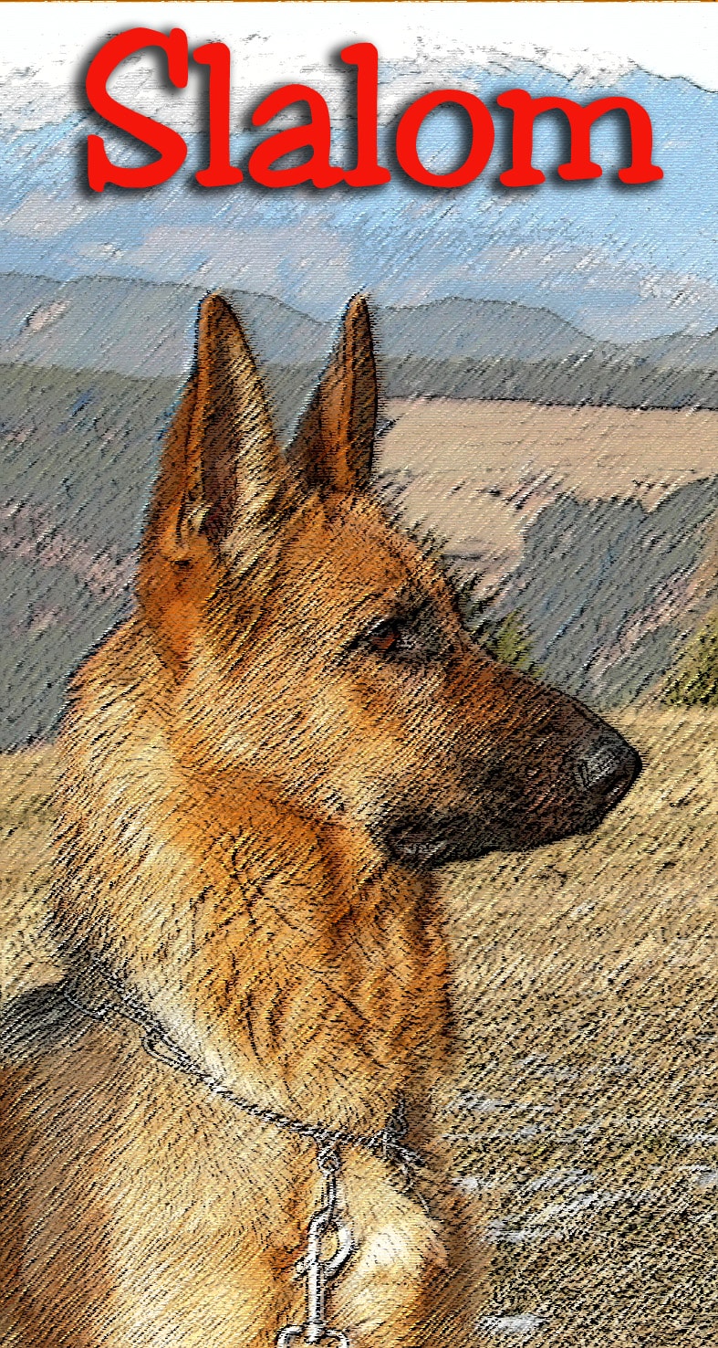 Immagine verticale. Un bel pastore tedesco, di profilo. In testa la scritta di colore rosso: "Slalom" e sullo sfondo il tratteggio di un paesaggio