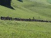 Maratona dles Dolomites - seconda parte