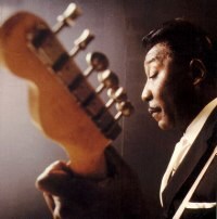 Muddy Waters