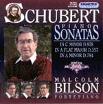 Domenica 18 luglio, per la Vetrina del Compact disc, &#232; di scena il Fortepiano in Schubert.