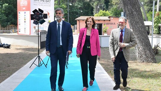 copertina Il successo di cartoons