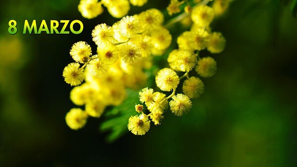 1457111032495_8 marzo.jpg