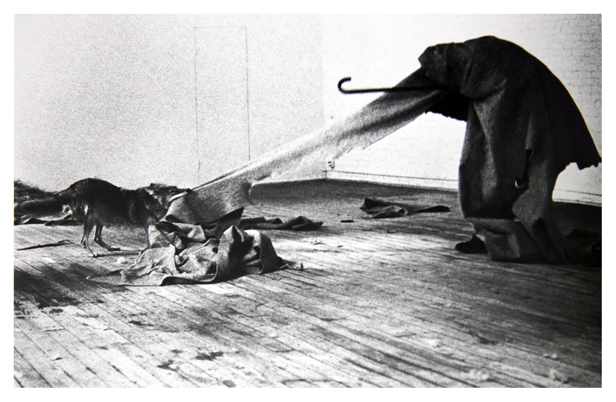 Fraternit&#224;  tra uomo e animale. L&#8217;utopia di Joseph Beuys