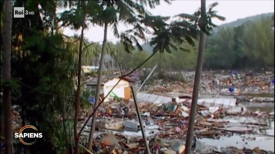 Rai 5 2004, Lo tsunami Sumatra