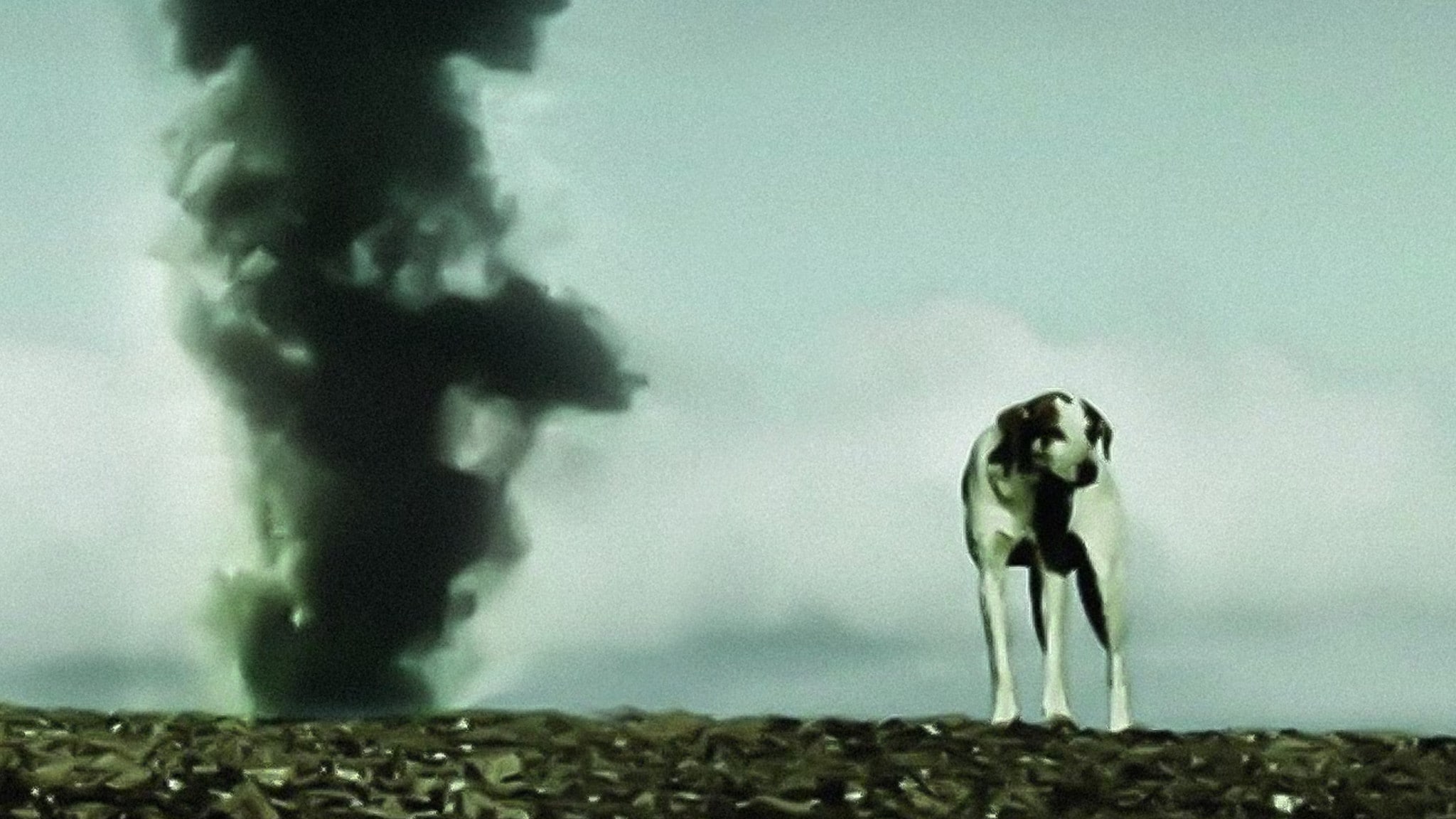 Rai 5 Passepartout: La materia oscura