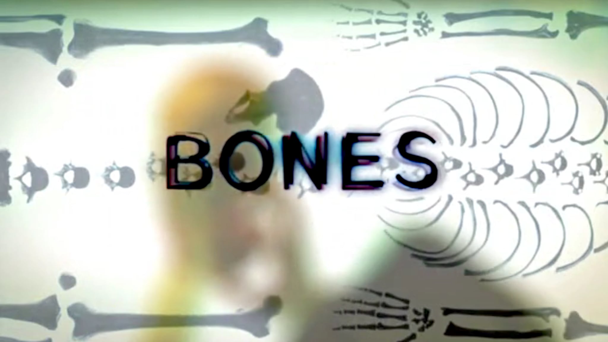 Rai 4 Bones S2E14 - Manomissione di prove
