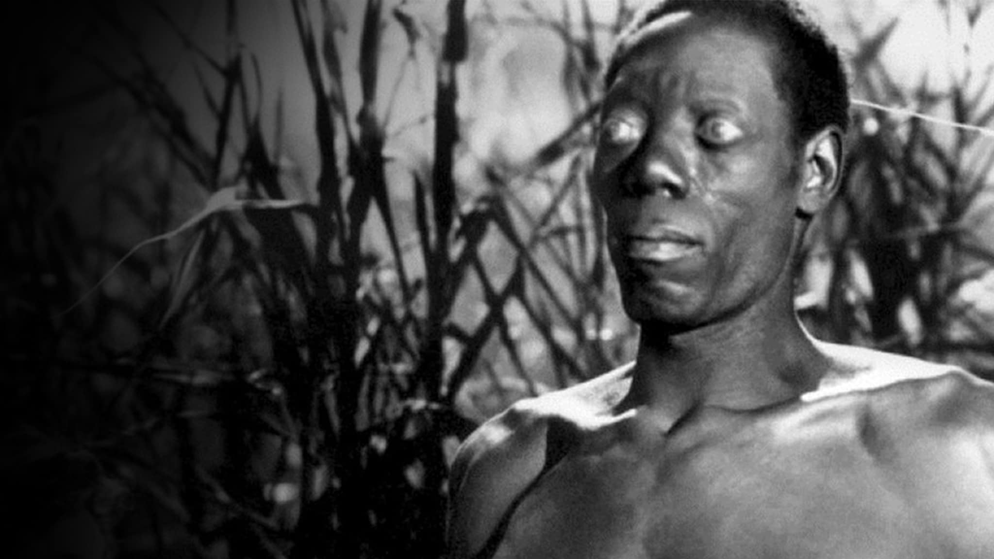 Rai 3 Ho camminato con uno zombie