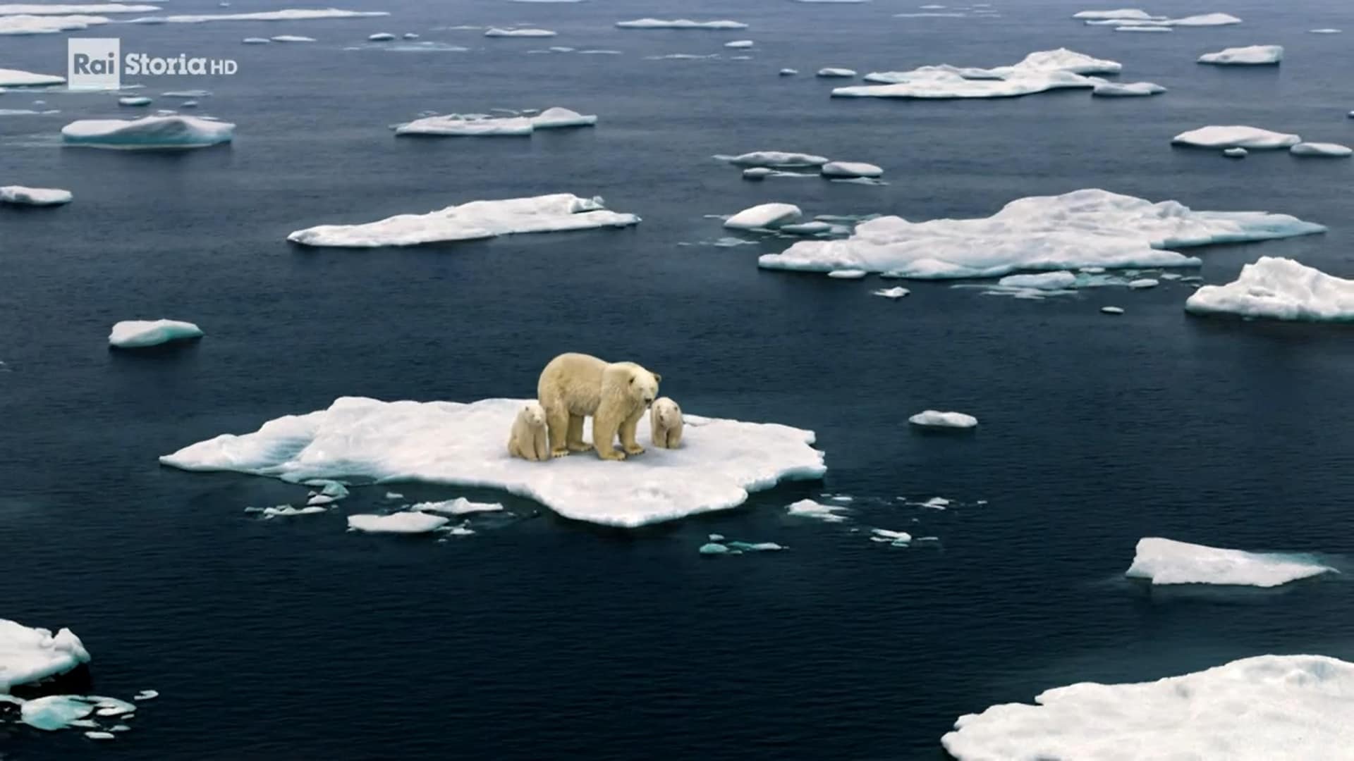 Rai 5 La grande sfida - L'uomo e l'ambiente 1800-1972