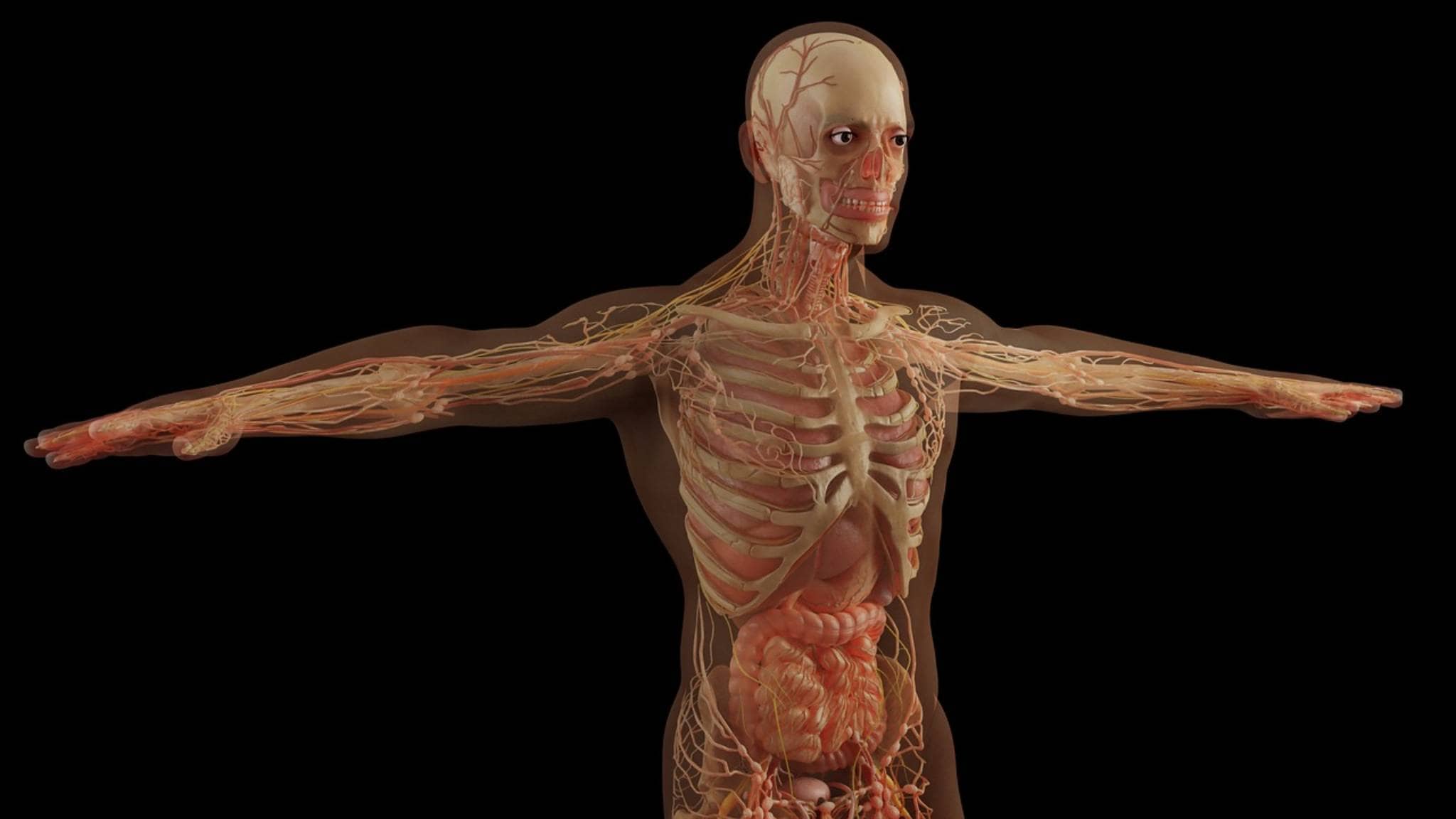 Rai Scuola Inside the human body Ep.1