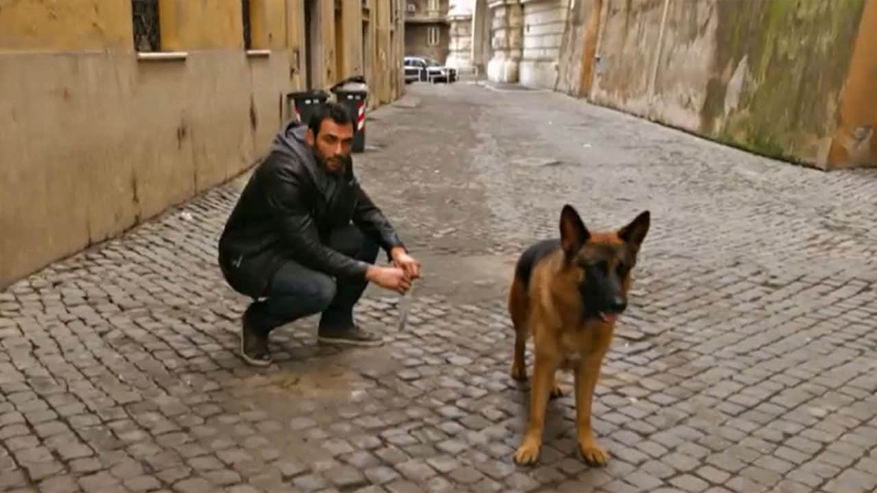 Rai Premium Rex S7E1 - Fratelli