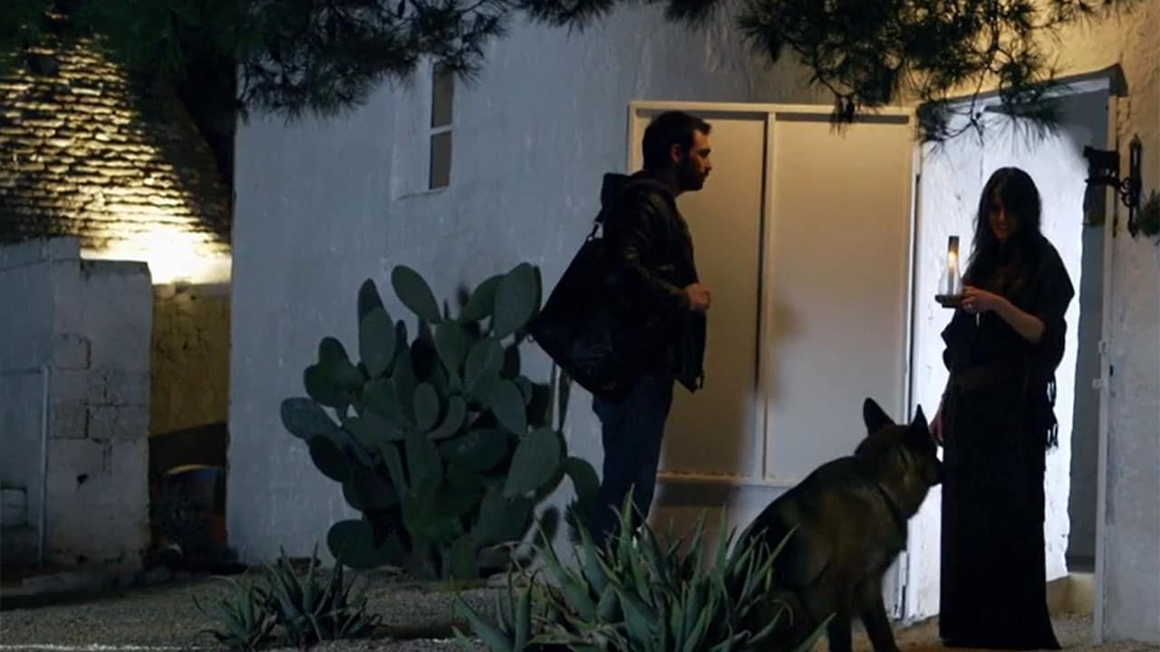 Rai 2 Rex S7E11 - Alla luce del sole