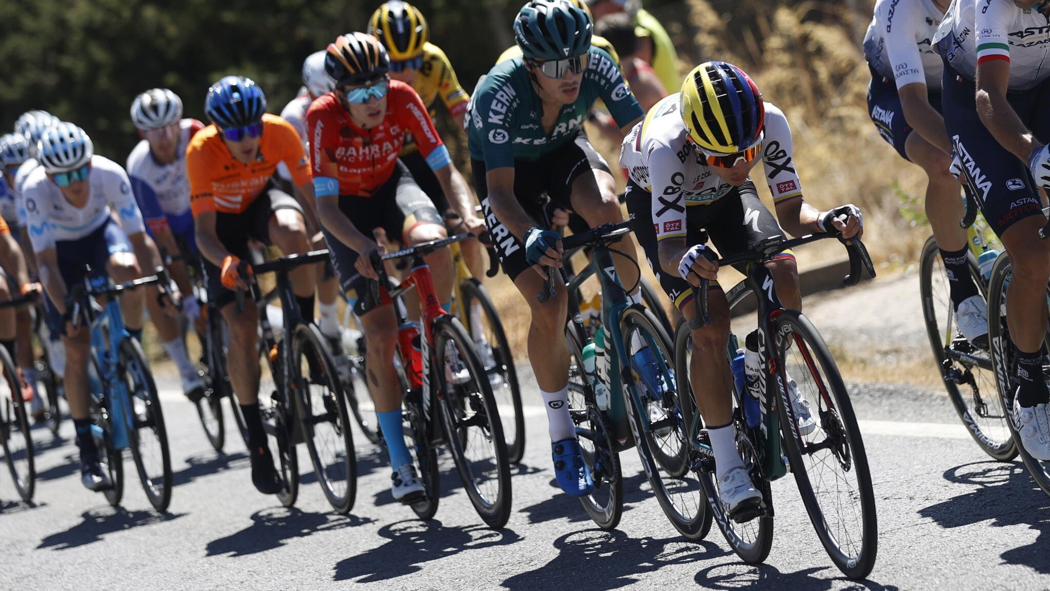 Rai Sport HD Ciclismo - Tour of the Alps 2024, 5a tappa: Levico Terme – Levico Terme