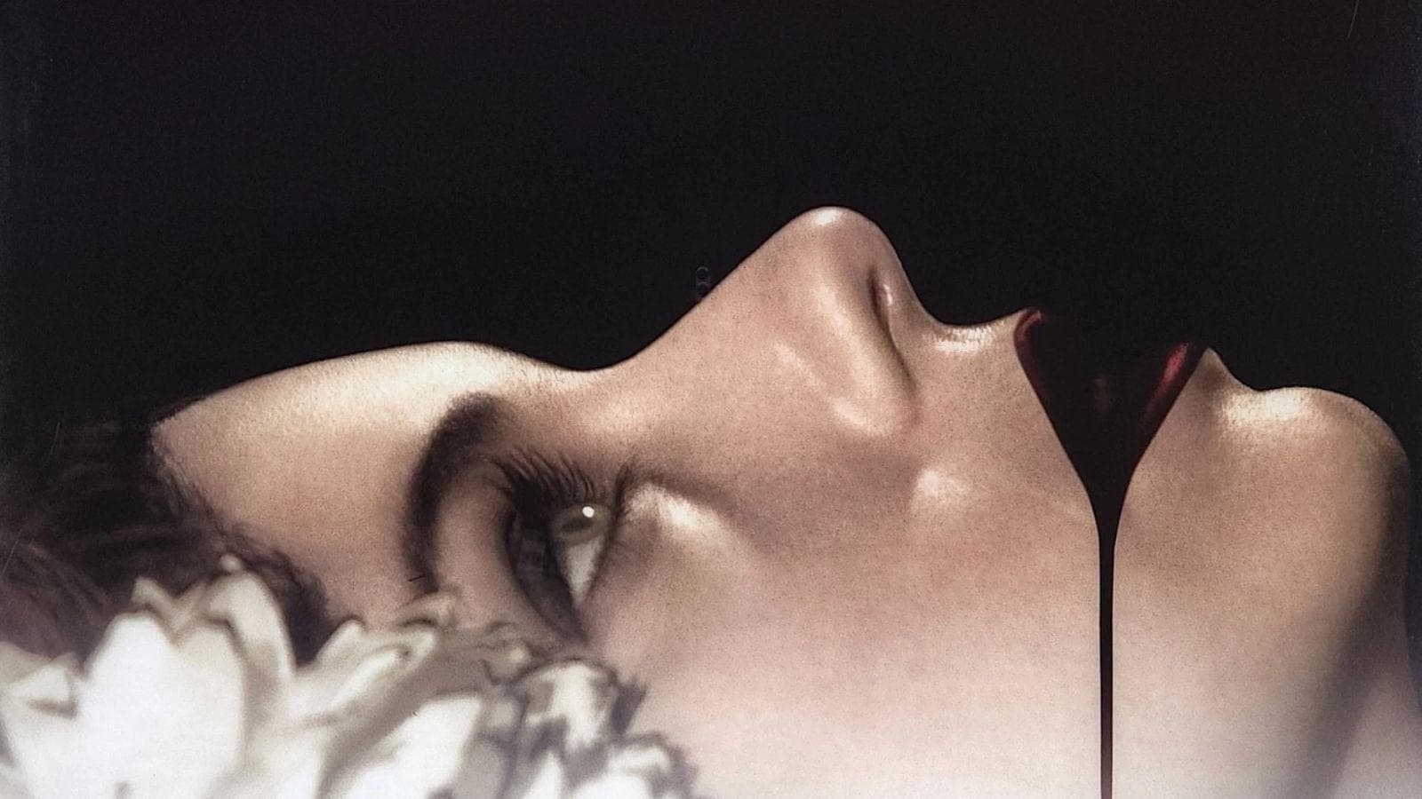 1600x900_1725522264146_Black%20Dahlia.jp