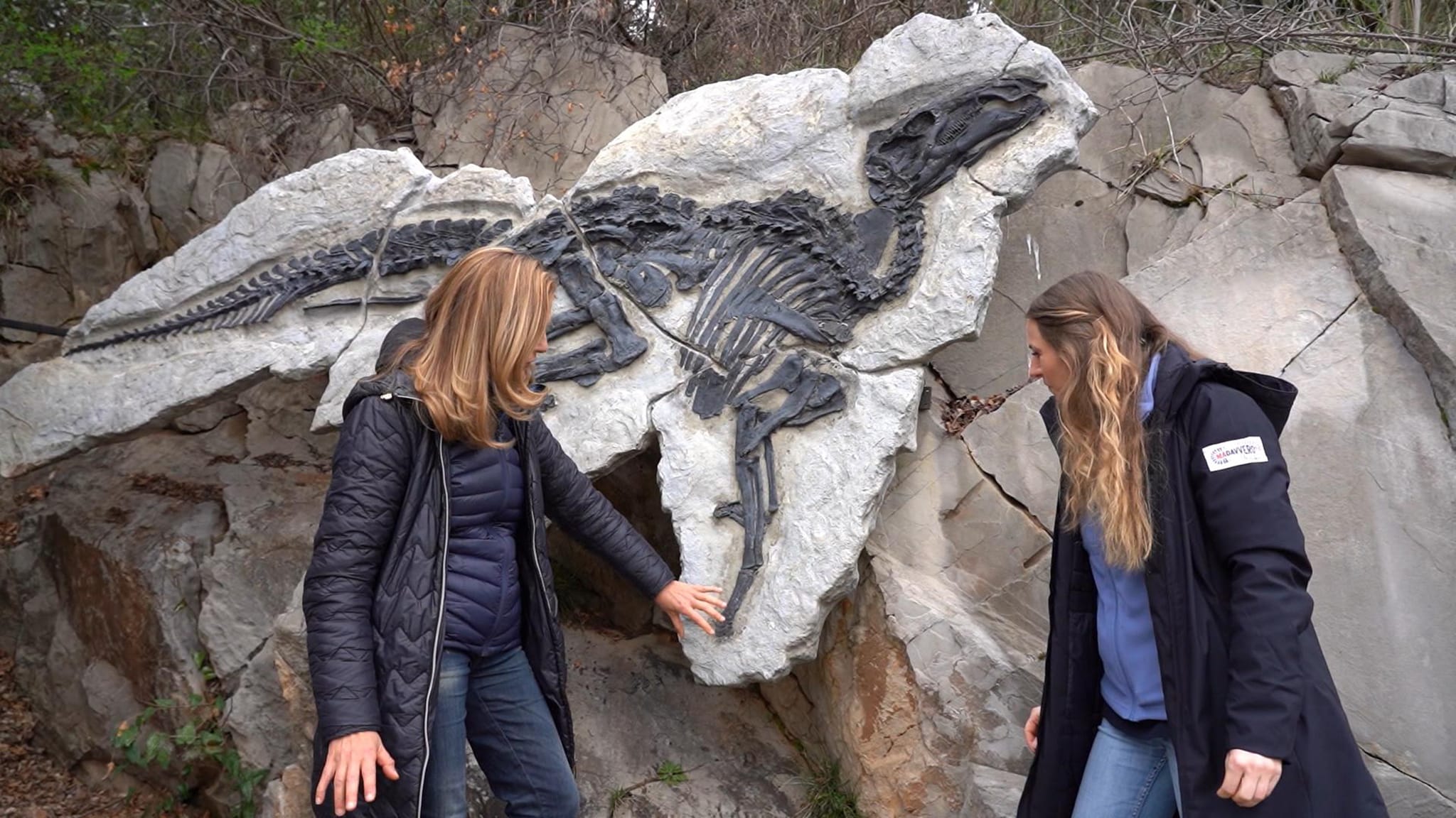 Rai Gulp Ma davvero? - S1E4 - Dinosauri nella roccia