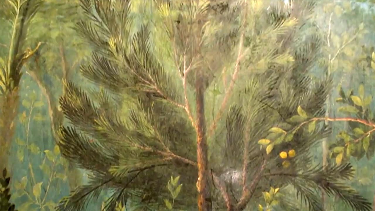 Rai 5 I colori dell'arte - S1E4 Verde