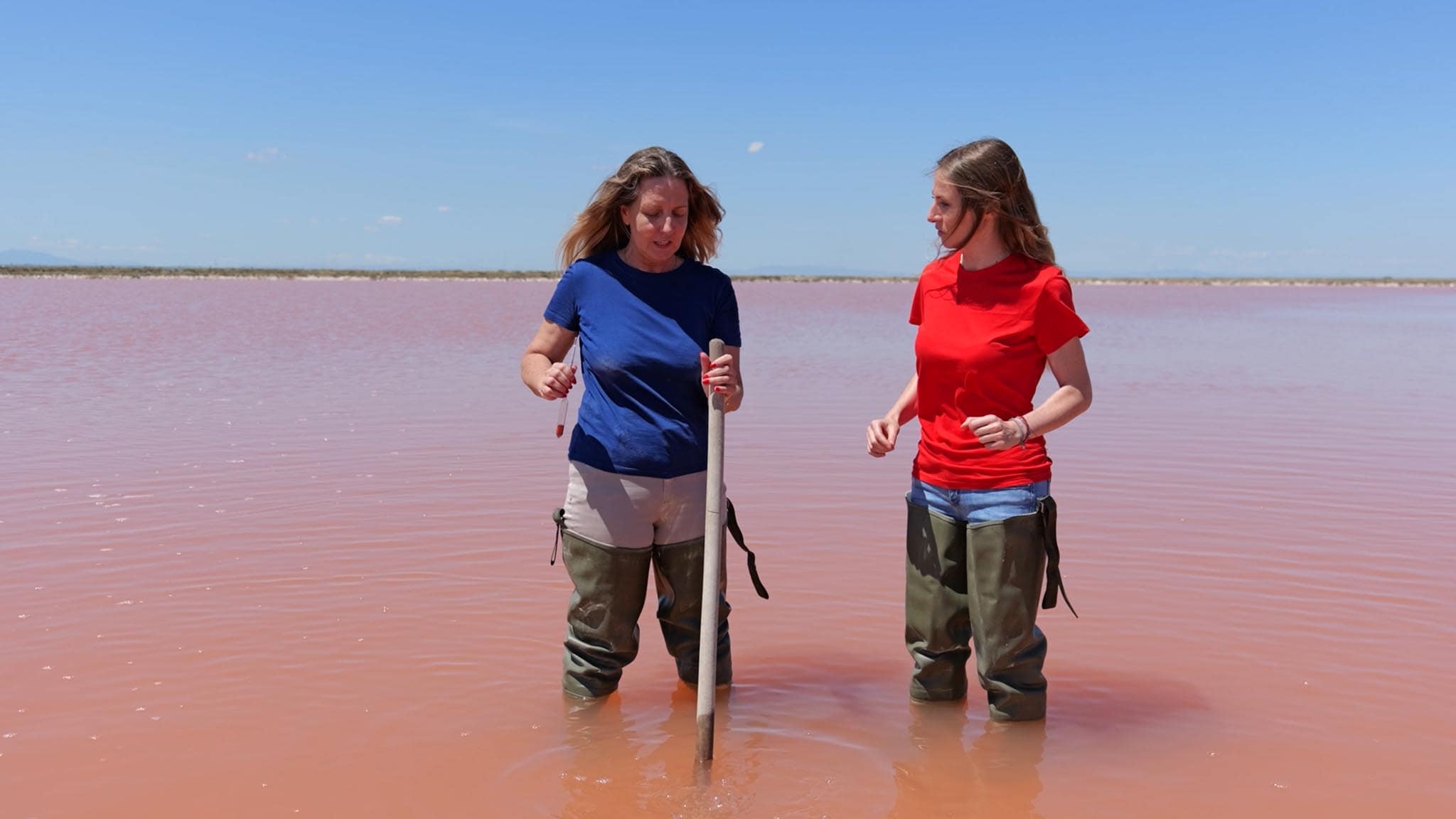 Rai Gulp Ma davvero? - S1E11 - L'oro bianco del mare