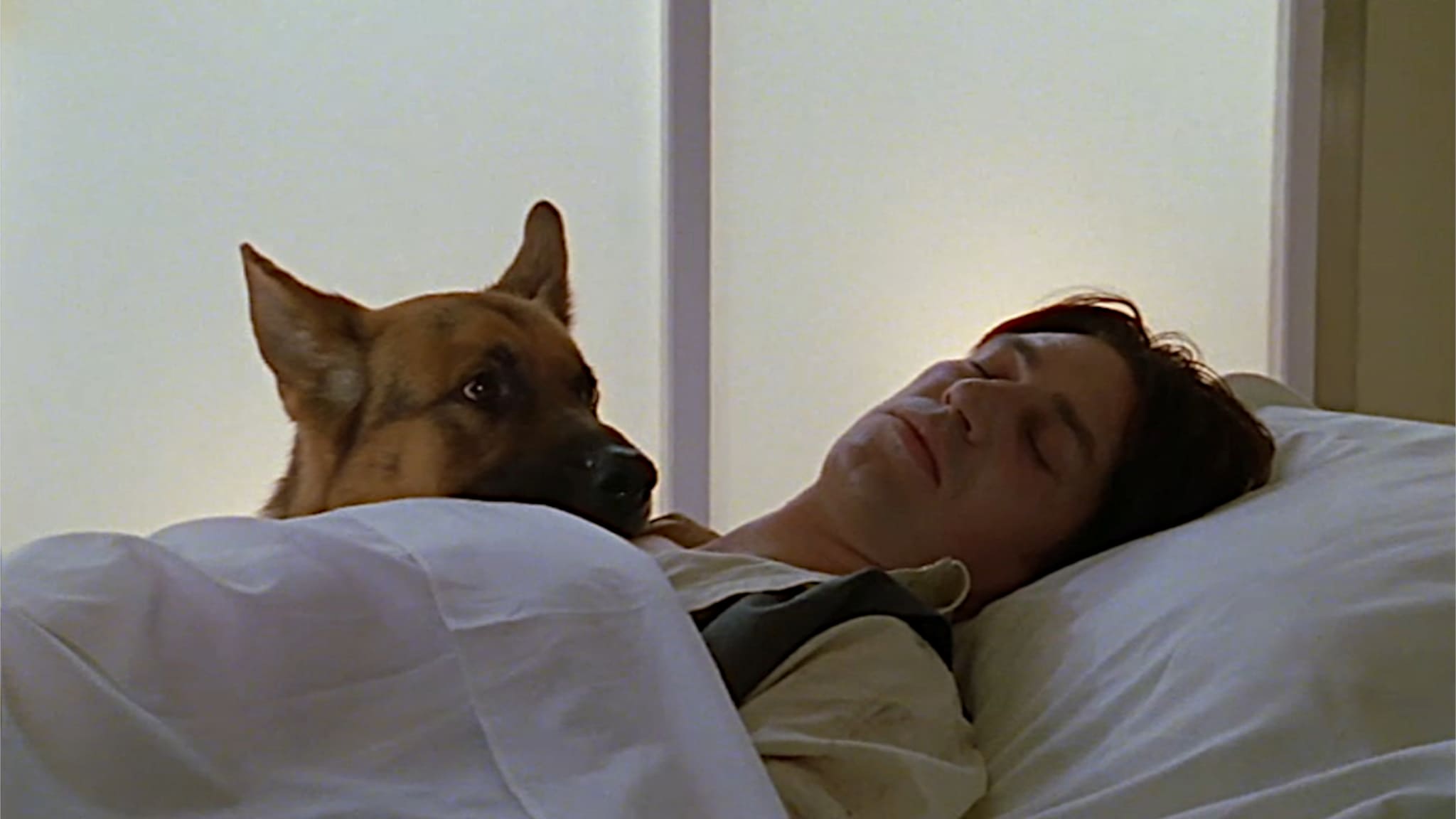 Rai 1 Il Commissario Rex S4E5 - L'ultima avventura - 2a parte