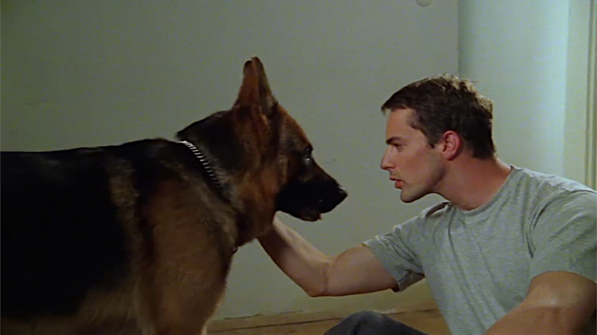 Rai 1 Il Commissario Rex S4E6  - ...E tutto ricomincia - 1a parte