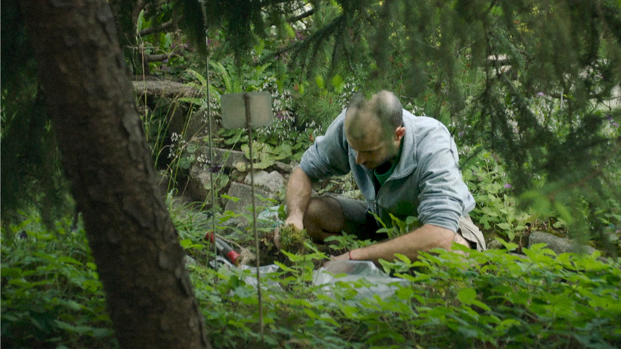 Rai 3 In ascolto - Conversazione con Massimo D'Anolfi e Martina Parenti