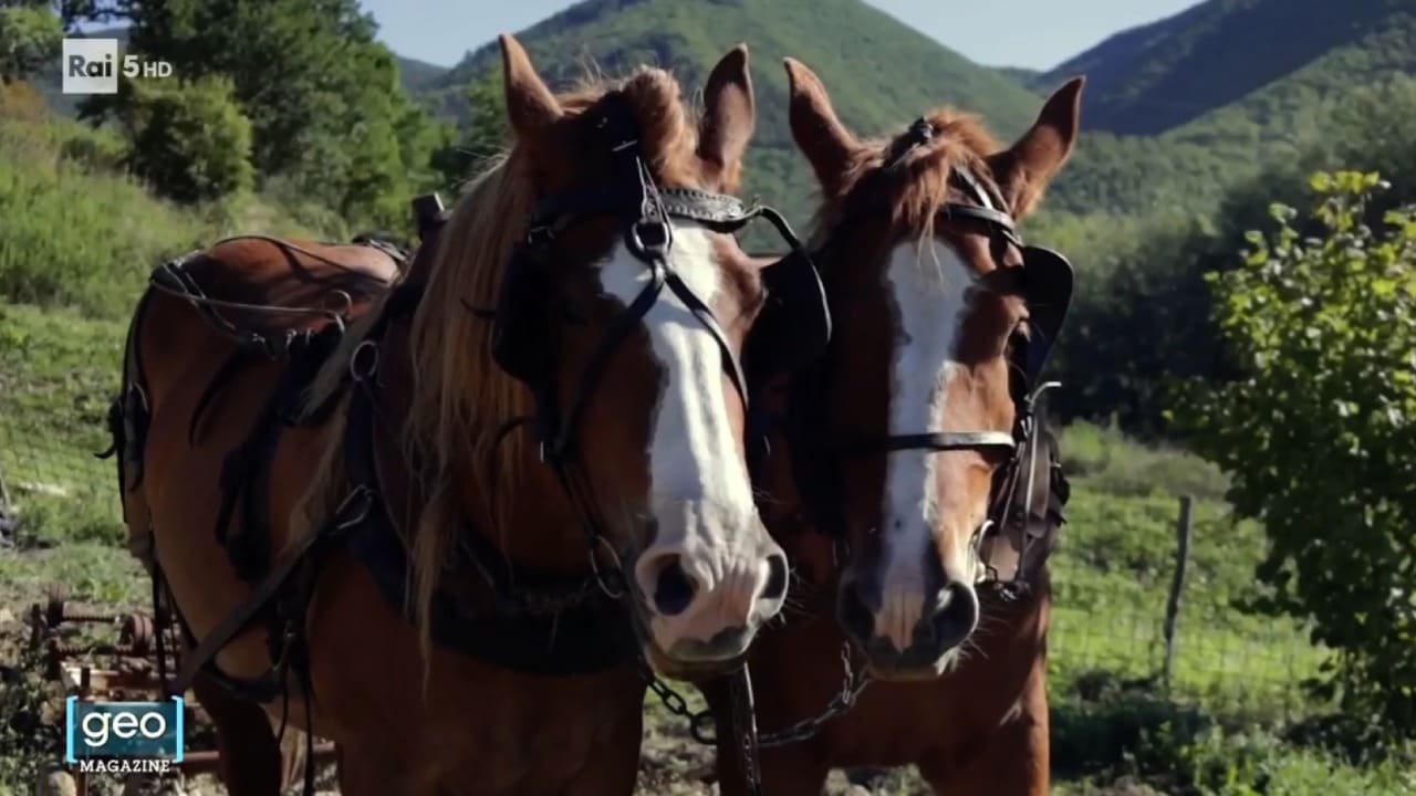 Rai 5 Geo Magazine - Puntata del 08/07/2025