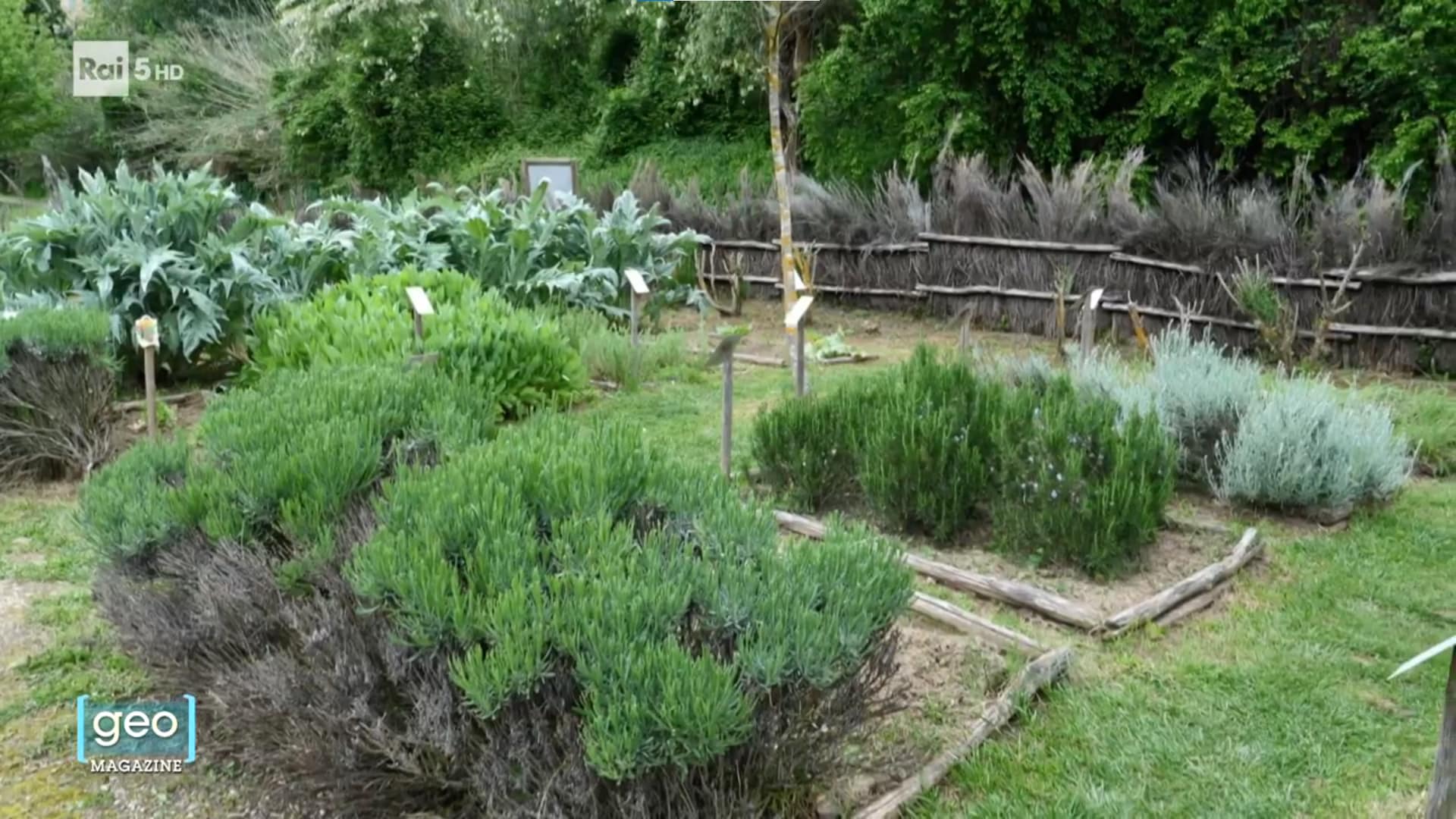 Rai 5 Geo Magazine del 15/07/2025