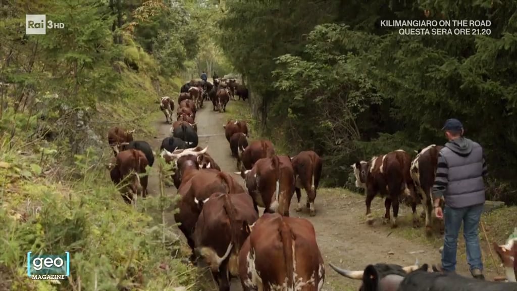 Rai 5 Geo Magazine del 18/07/2025