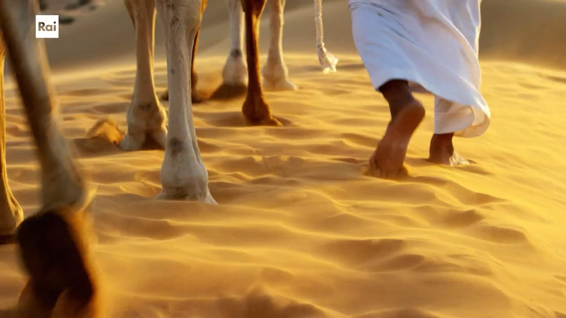 Rai 5 Casa Sapiens. Oro grigio ep.11