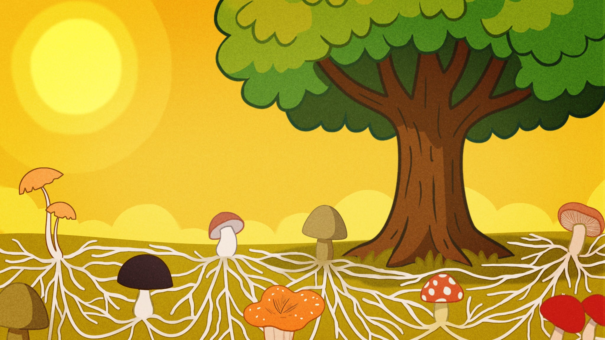 Rai Yoyo Buonanotte con Carolina - Storie e letterine - S1E22 - Le parole degli alberi