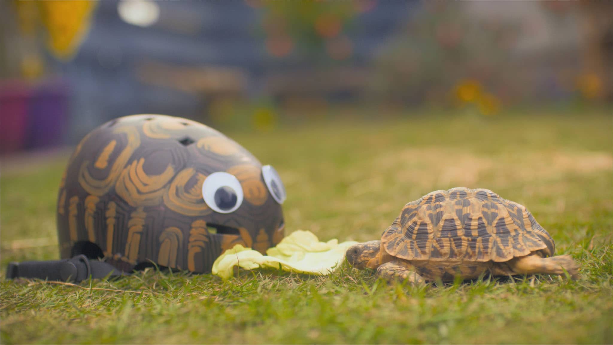 Rai Yoyo Olga da Polga - S1E4 - Bessy, il casco da bici