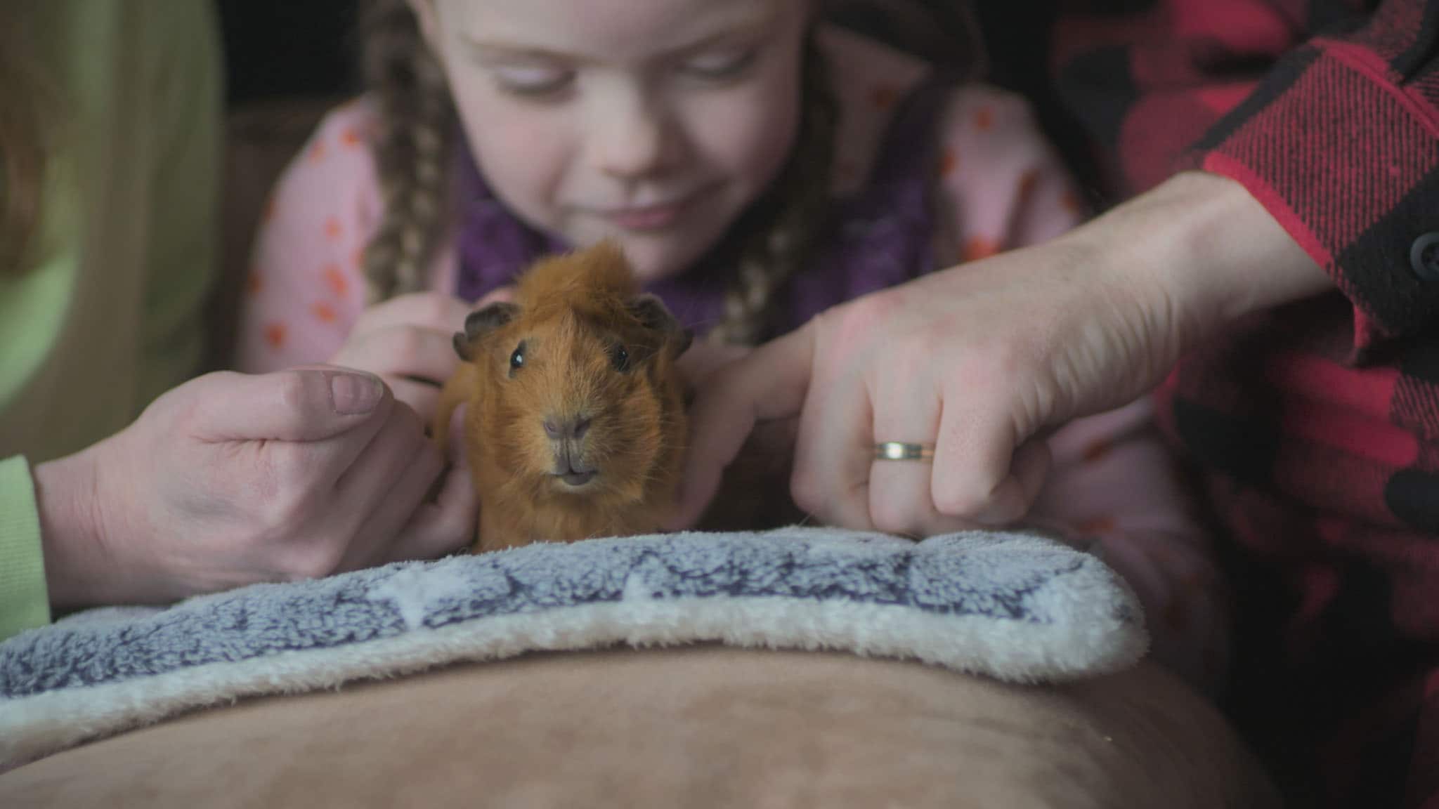 Rai Yoyo Olga da Polga - S1E8 - La danza della Fata Confetto