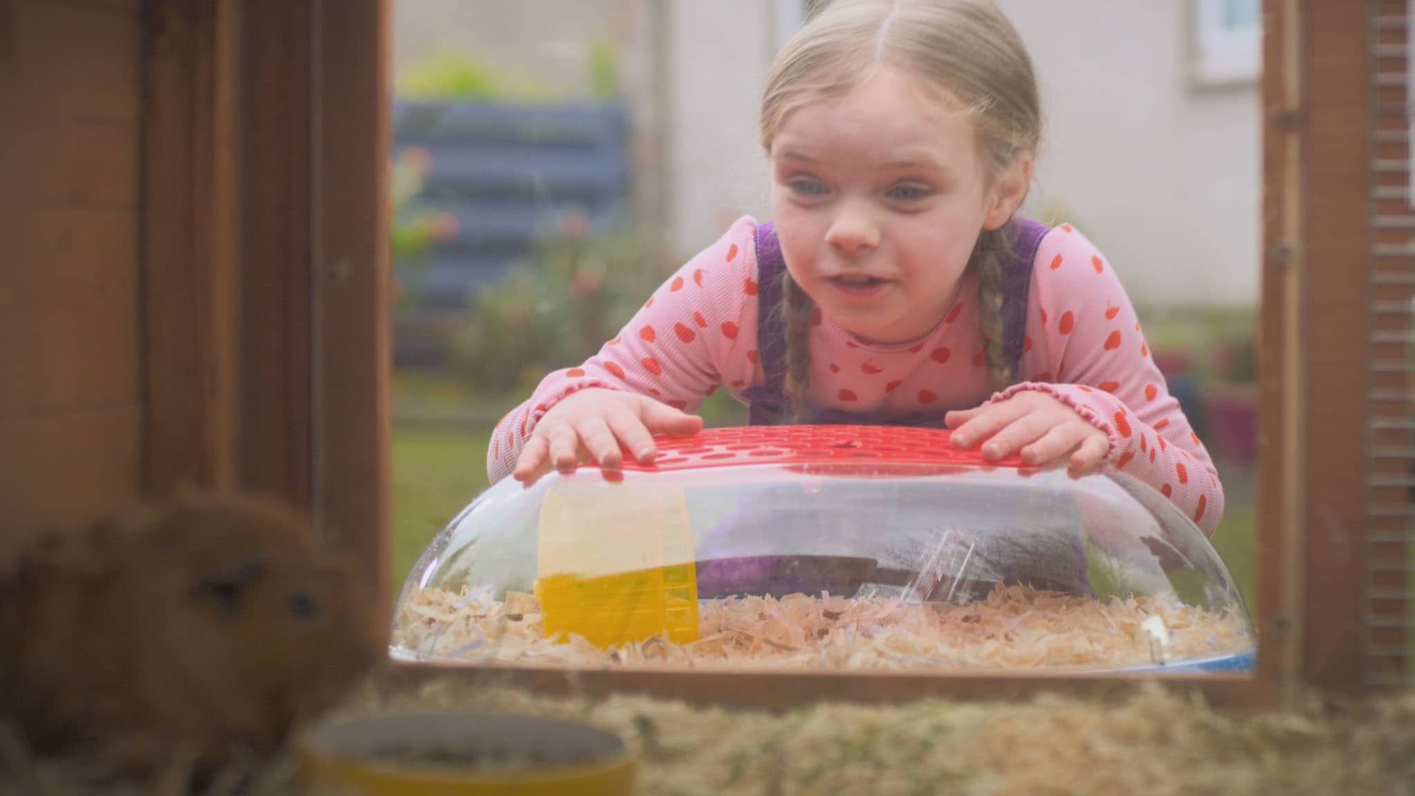 Rai Yoyo Olga da Polga - S1E11 - Nuovi arrivi