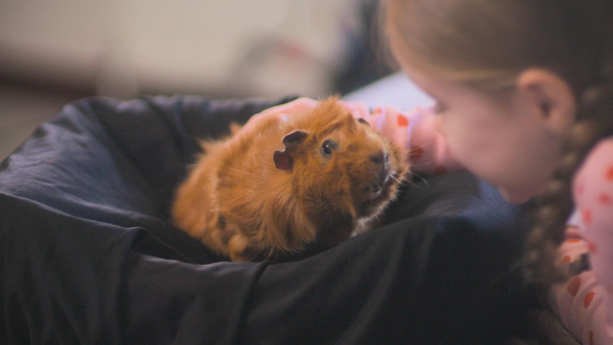 Rai Yoyo Olga da Polga - S1E12 - Olga la modella