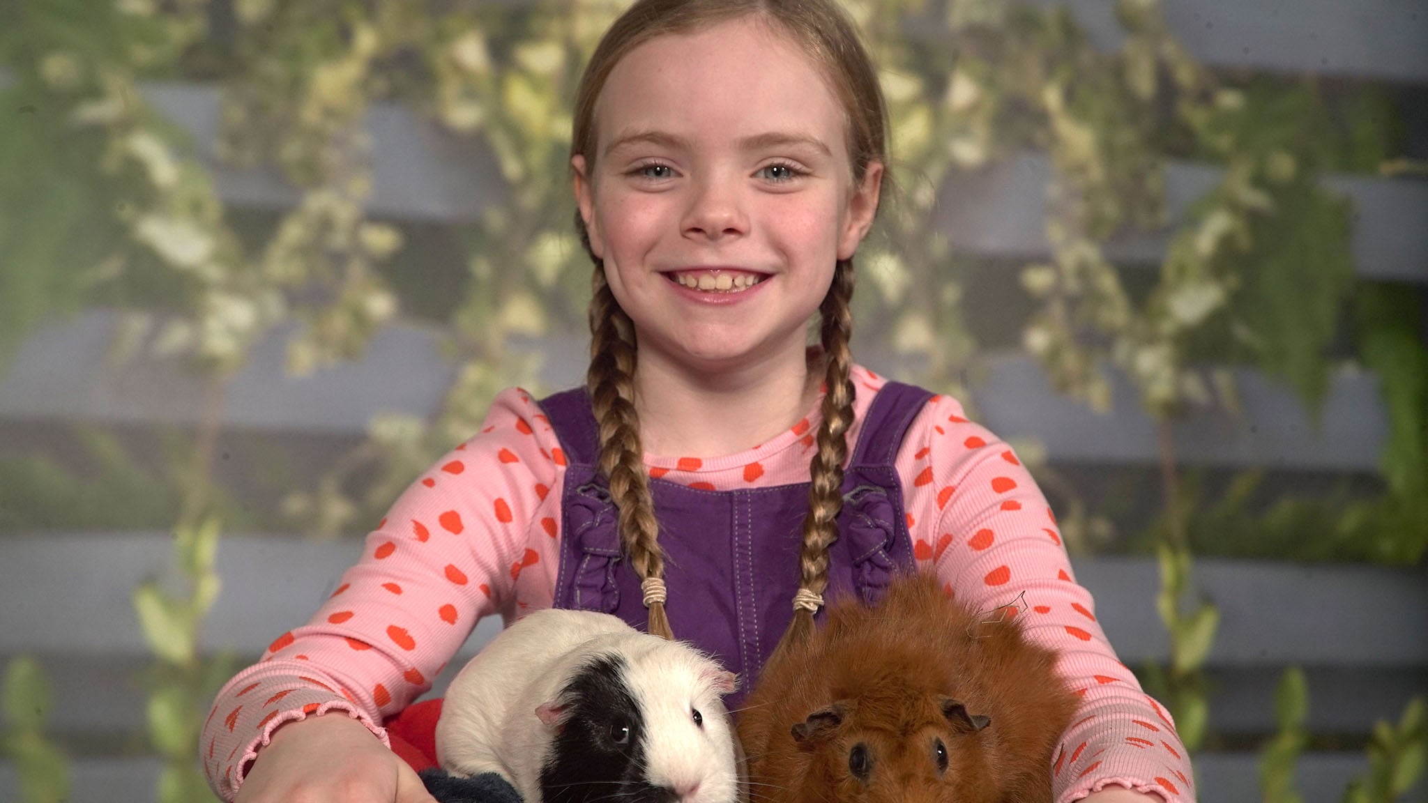 Rai Yoyo Olga da Polga - S1E22 - In campeggio