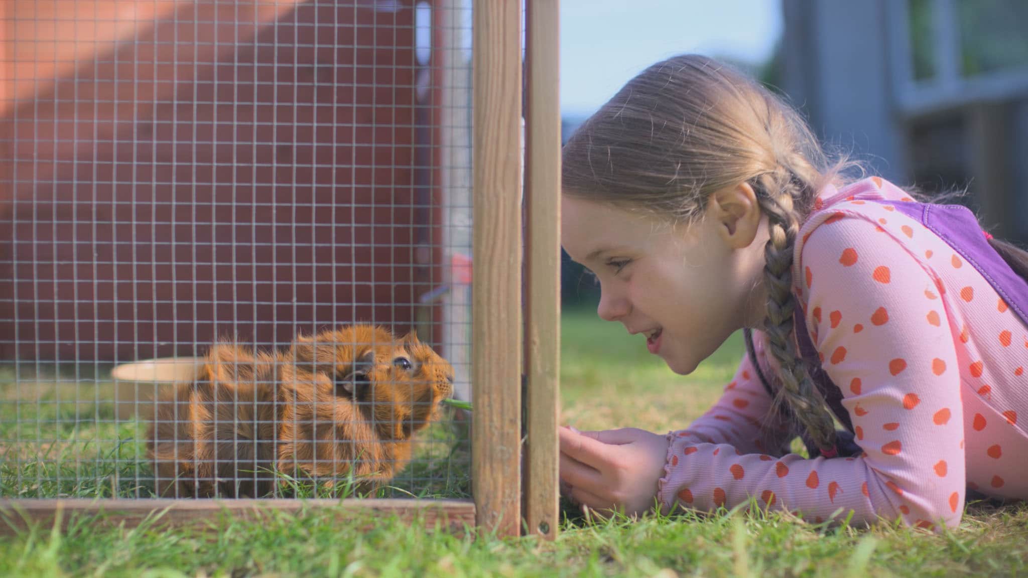 Rai Yoyo Olga da Polga - S1E25 - Si torna a scuola