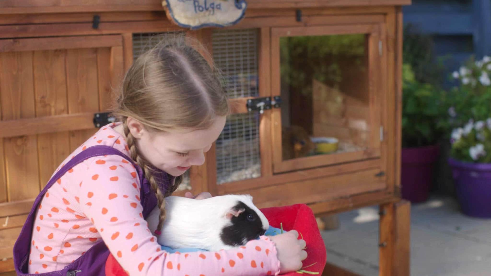 Rai Yoyo Olga da Polga - S1E26 - Olga e il leone