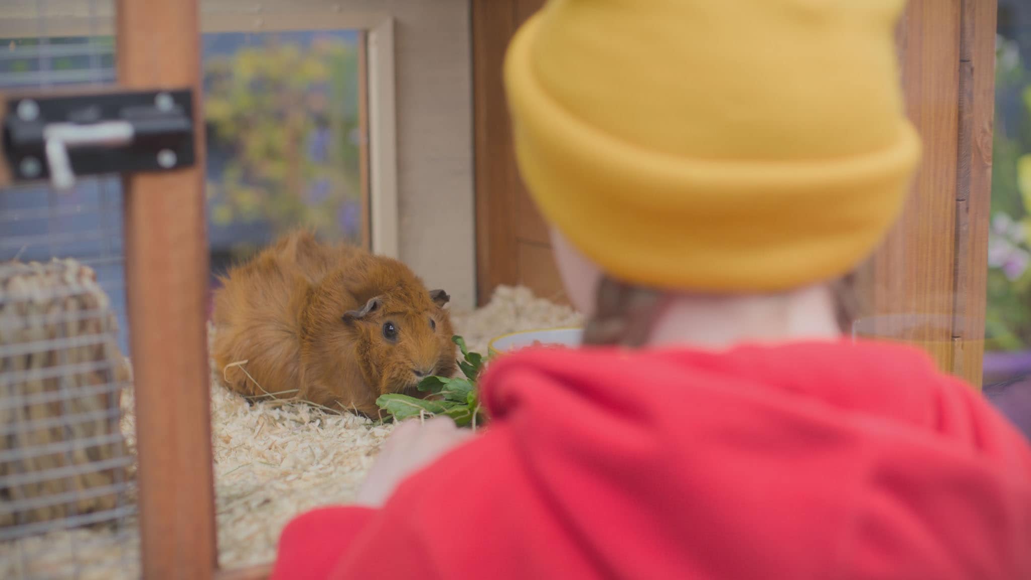 Rai Yoyo Olga da Polga - S1E27 - Il grande freddo