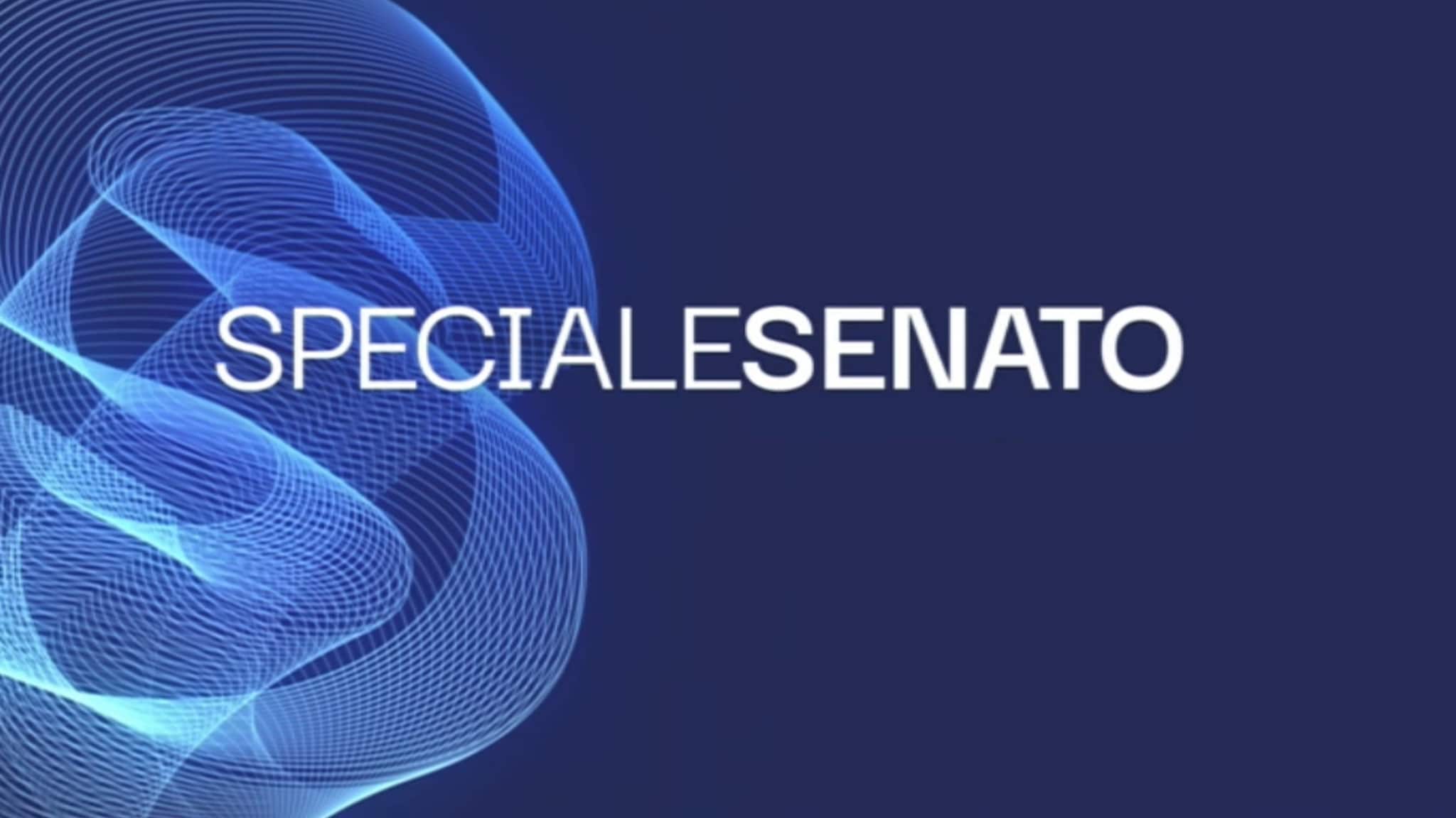 Rai 3 Dichiarazioni di voto finali dei Gruppi parlamentari sul disegno di legge n. 1689