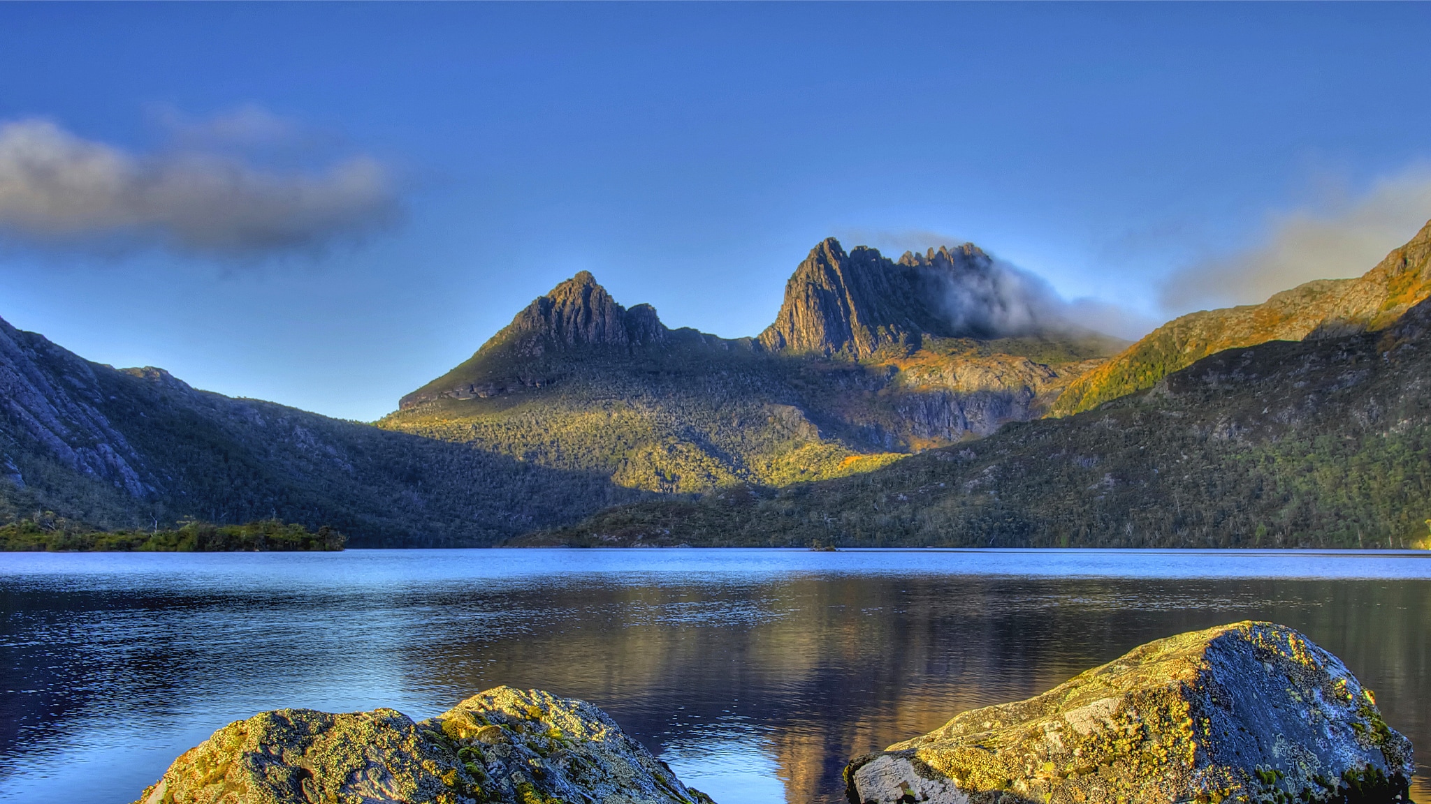 Rai 5 Tasmania Selvaggia