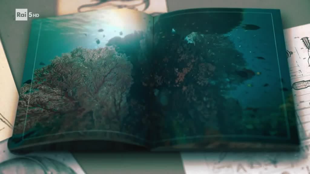 Rai 5 Evolution S4E57