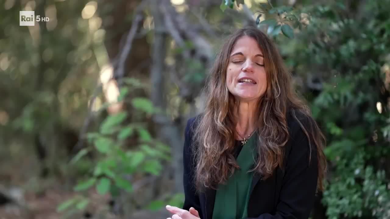 Rai 5 Evolution S467