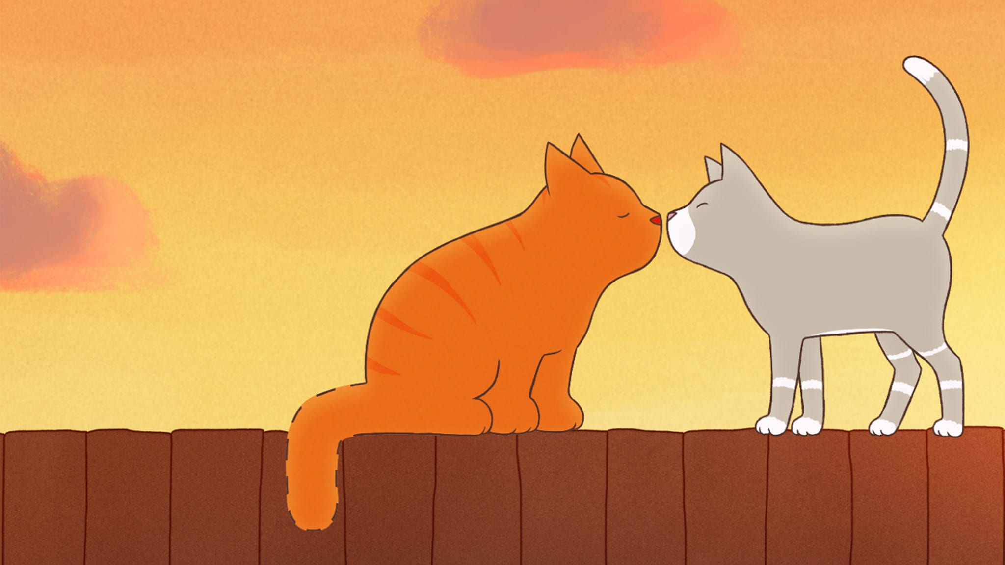 Rai Yoyo Tommy Tom e l'orsetto perduto