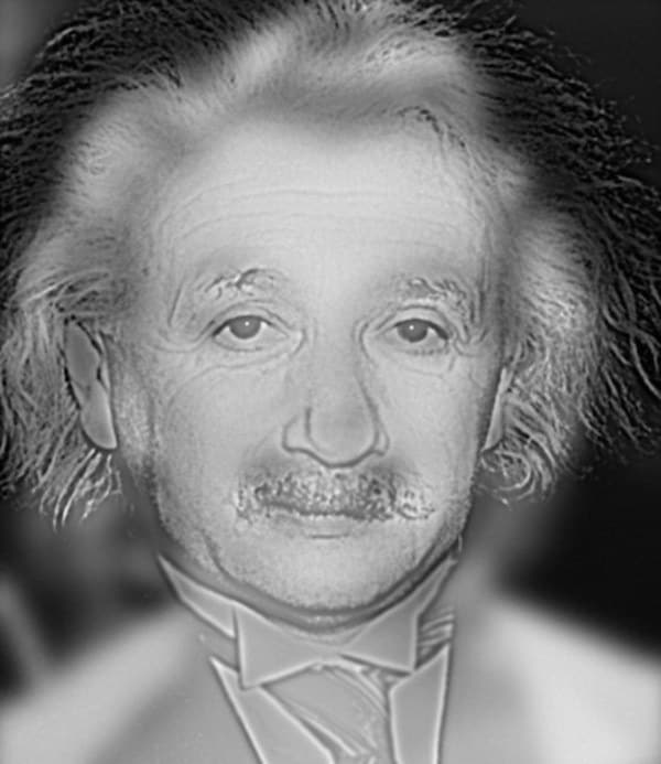 Albert Einstein o Marilyn Monroe? L'illusione